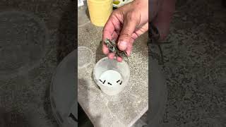 Изобретение, которое пригодится каждому! #diy #shorts#dom