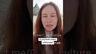 Этот беспредел надо остановить!