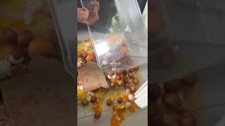 СИТУАЦИЯ СТРАШНАЯ | TikTok: elinka6538