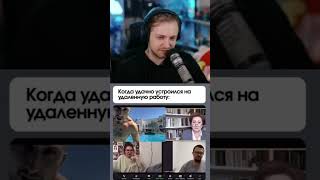 удаленка #стинт #stint #stintik #прикол #реакция