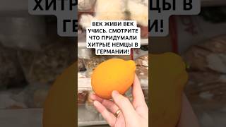 Век живи век учись. Смотрите что придумали хитрые немцы в Германии!