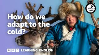 How do we adapt to the cold? ⏲️ 6 Minute English