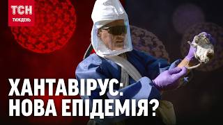 СМЕРТЕЛЬНА ПОШЕСТЬ, ВІД ЯКОЇ НЕМАЄ ЛІКІВ! Які симптоми дає хантавірус? / ТСН.Тиждень