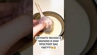 ОКУНИТЕ ЧЕСНОК В МОЛОКО И ОНИ ПРОСТООТ BAC УБЕГУТ! 😱🤯 #лайфхак #совет#способ #рецепт #чеснок