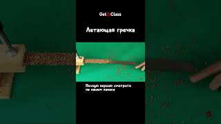 Летающая гречка