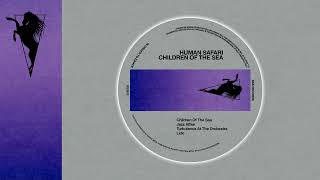 Human Safari - Turbulence At The Orchestra (R&S Records)