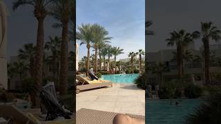 Доброе утро ребята😂 #отпуск #египет #шармельшейх