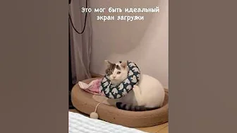 Подушка Чешется