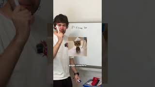 Замотали духами своими благовонять! Запишись на курс в тгк: globalee_phys #globalee #владич #физика