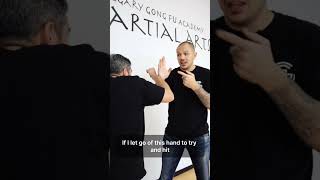 Boxing vs Wing Chun - Who would win?