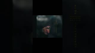 мой хозяин квартиры - тот самый вежливый пенсионер.