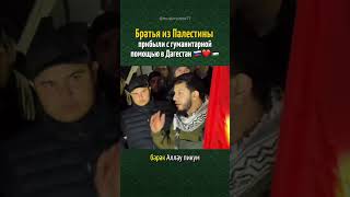 ПАЛЕСТИНЦЫ ПРИБЫЛИ НА ПОМОЩЬ ДАГЕСТАНУ ❤️