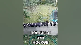 Постирал 25 ПАР НОСКОВ 🧦🧦🧦🧦🧦🧦🧦🧦🧦🧦🧦🧦🧦🧦🧦🧦🧦🧦🧦🧦🧦🧦🧦🧦🧦
