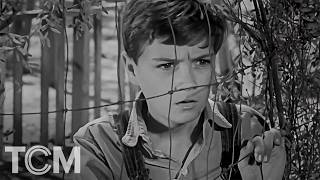 Jem, Scout and Dill Spy on Atticus in Court (Clip) | To Kill a Mockingbird (1962) | TCM