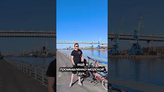 Чем прекрасен Канонерский остров?