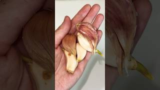 Японцы Делают ЭТО Для….#shorts