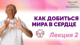 Выход из кризиса. Как добиться мира в сердце и увеличить внутренний потенциал 2. Торсунов О. Г. 2016