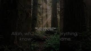 There is no loneliness.