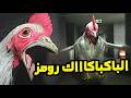 [Chicken Feet] لعبة رعب غريبة جدا اقترحتوها