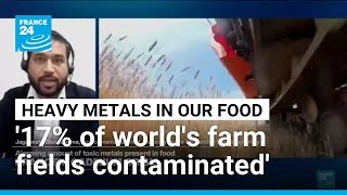 Industry contamination of soil with toxic metals exposes failure to translate science into policy