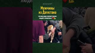 ДАГЕСТАНЦЫ СПАСАЮТ ЖИВОТНЫХ 👏💔