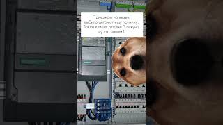 Как часто вы встречаетесь с такими нетерпеливыми ?