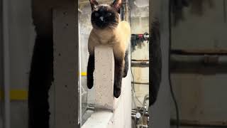 Новая запатентованная разработка. #инновации