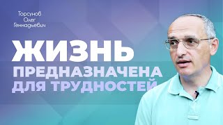 Взаимность в семейных отношениях (Торсунов О. Г.)
