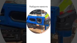 Разбудили мамонта